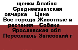щенки Алабая (Среднеазиатская овчарка) › Цена ­ 15 000 - Все города Животные и растения » Собаки   . Ярославская обл.,Переславль-Залесский г.